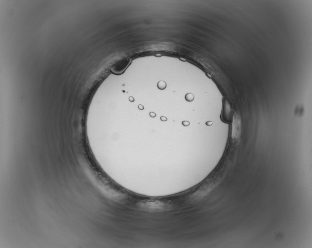 X0000112870253200909181831