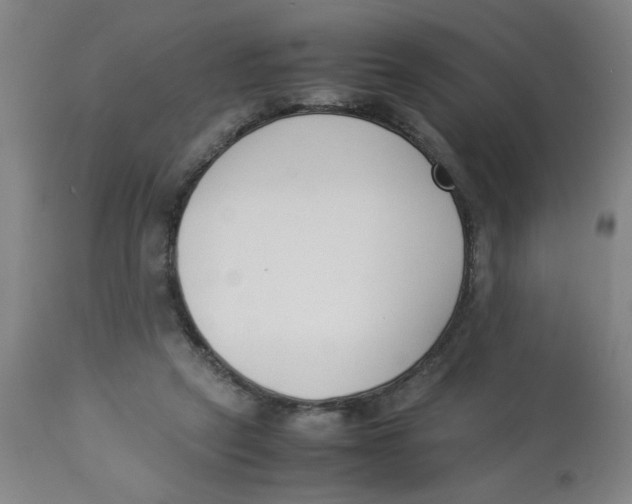 X0000112870257200909181831