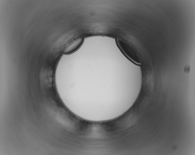 X0000112870264200909181831