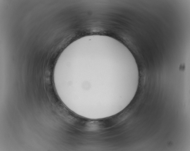 X0000112870269200909181831