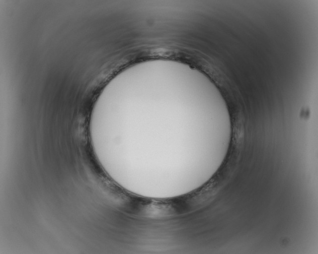 X0000112870270200909181831