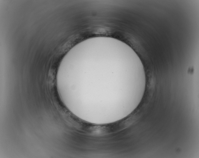 X0000112870273200909181831