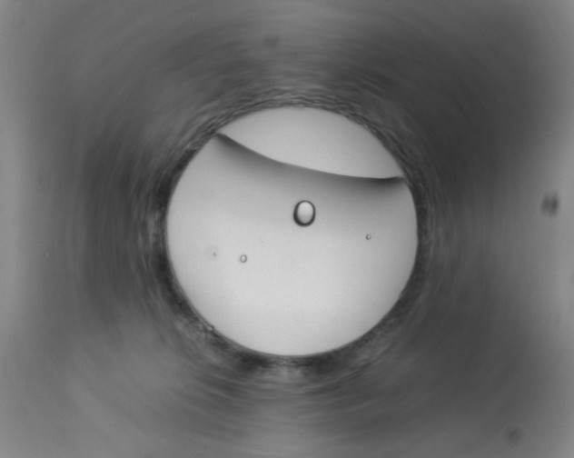 X0000112870276200909181831