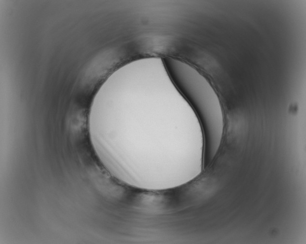 X0000112870284200909181831