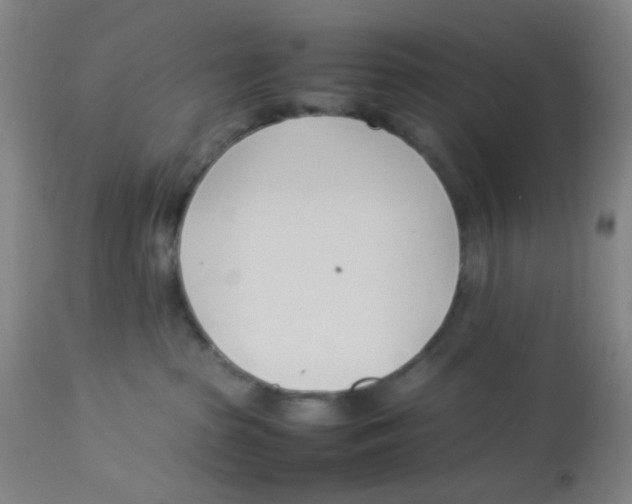 X0000112870285200909181831