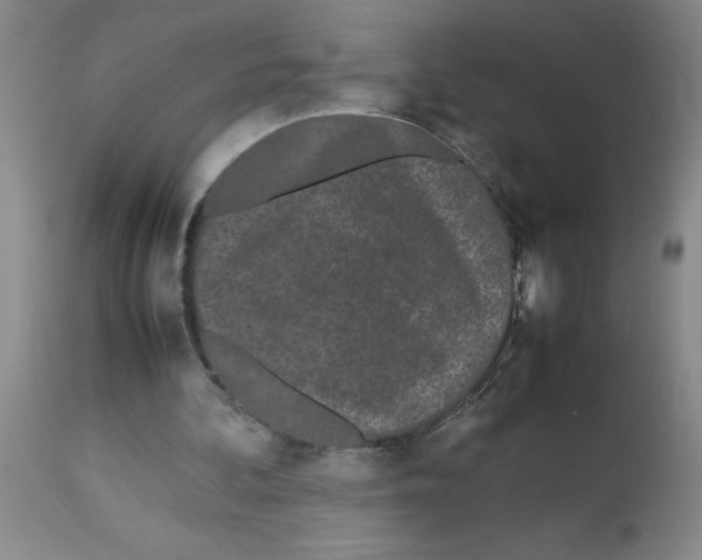 X0000112870292200909181830