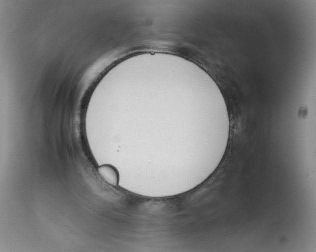 X0000112870294200909181830