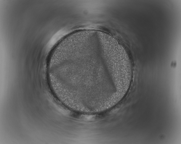 X0000112870295200909181830