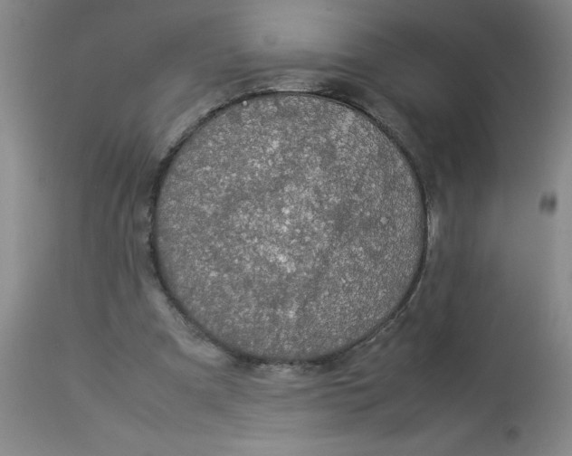 X0000112870297200909181830