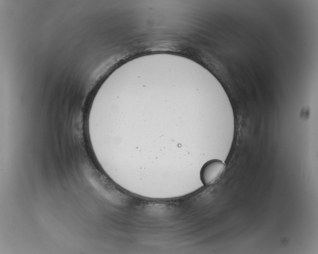 X0000112870298200909181830