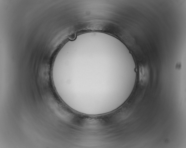 X0000112870300200909181830