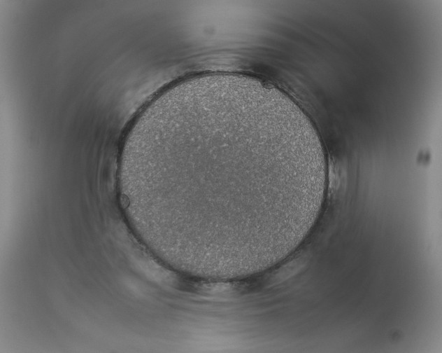 X0000112870301200909181830