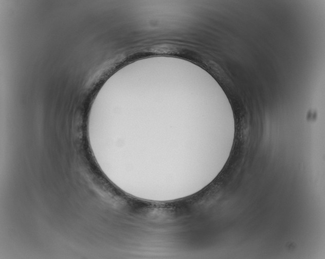 X0000112870303200909181830