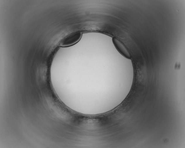 X0000112870304200909181830