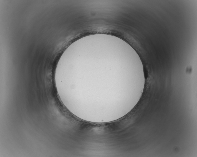 X0000112870306200909181830