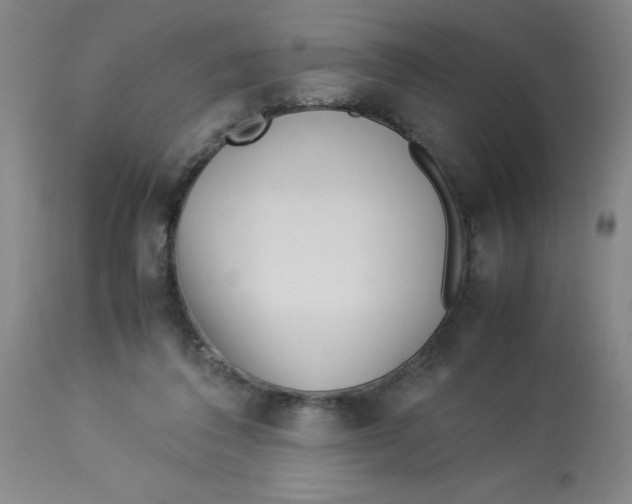 X0000112870308200909181830