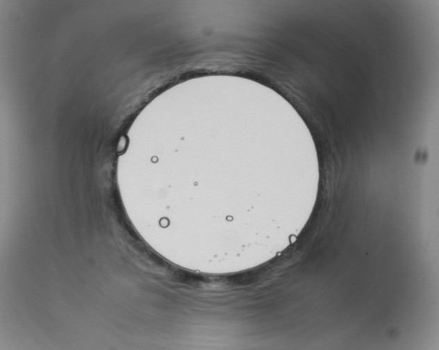 X0000112870309200909181830