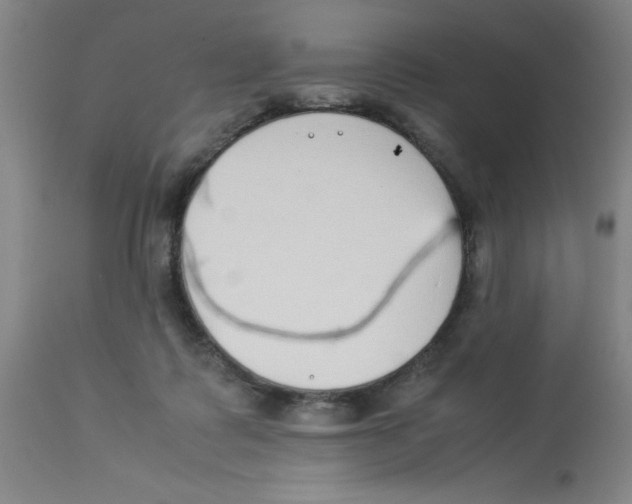 X0000112870315200909181830