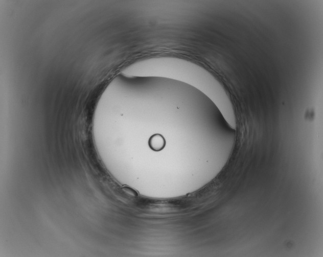 X0000112870316200909181830