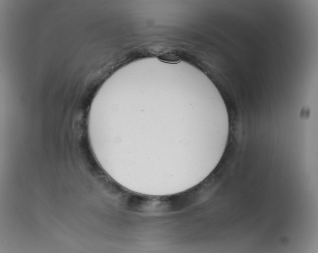 X0000112870319200909181830