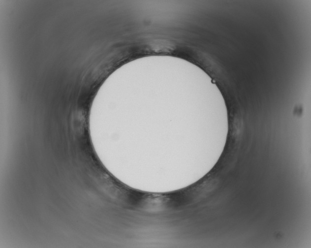 X0000112870321200909181830