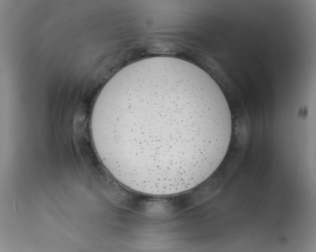 X0000112870322200909181830