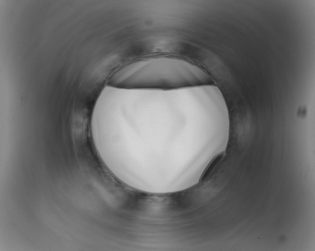 X0000112870328200909181830