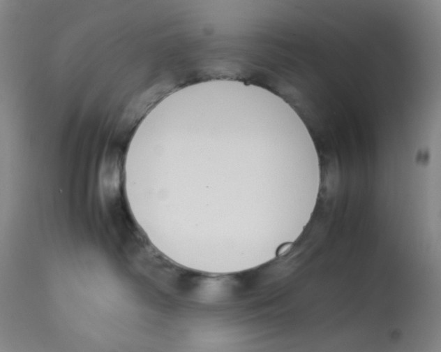 X0000112870334200909181830