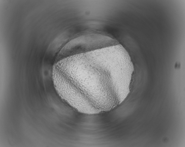 X0000112870336200909181830