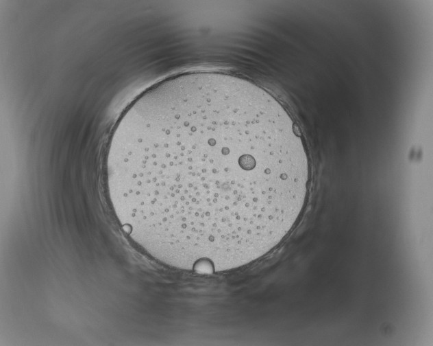 X0000112870337200909181829