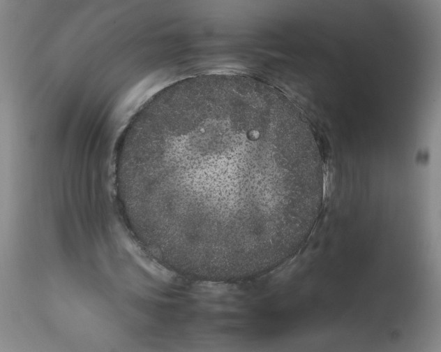 X0000112870339200909181829