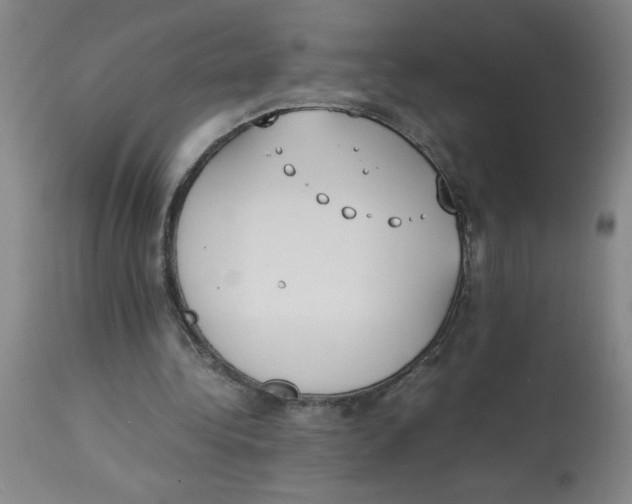 X0000112870340200909181829