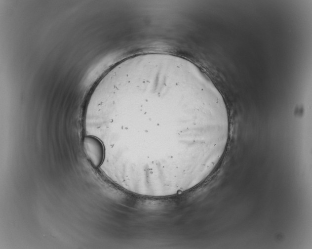 X0000112870341200909181829