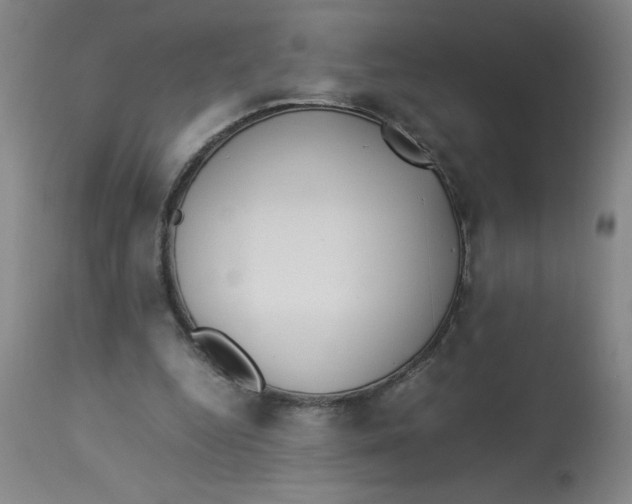 X0000112870344200909181829