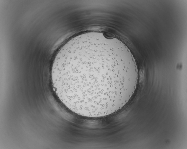 X0000112870349200909181829