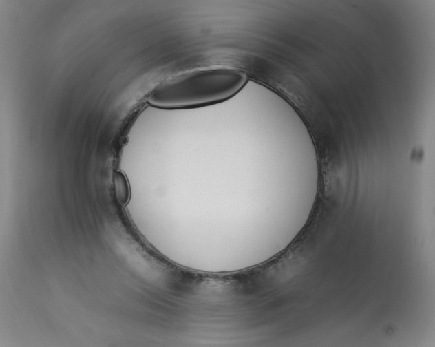 X0000112870350200909181829