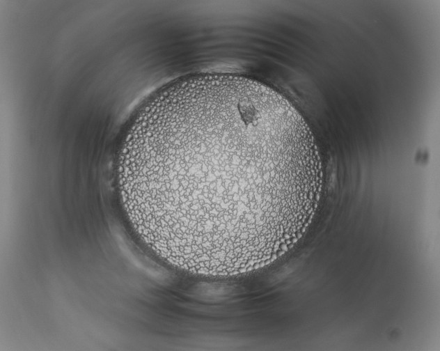 X0000112870351200909181829