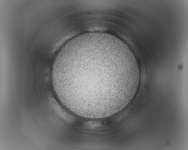 X0000112870353200909181829