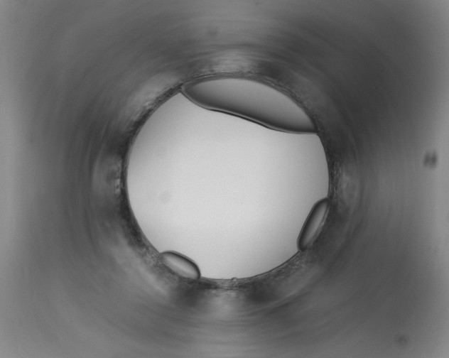 X0000112870356200909181829