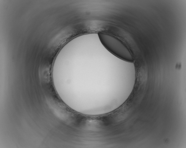 X0000112870360200909181830