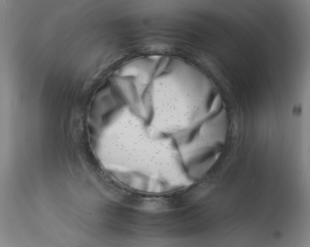 X0000112870363200909181830