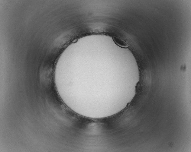 X0000112870364200909181830