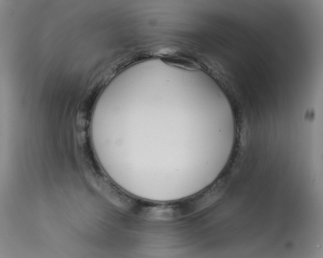 X0000112870366200909181830