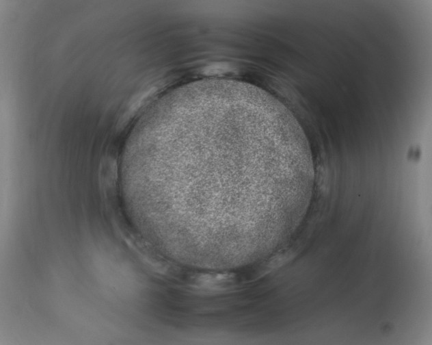 X0000112870375200909181830