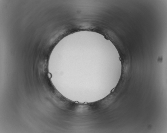 X0000112870376200909181830