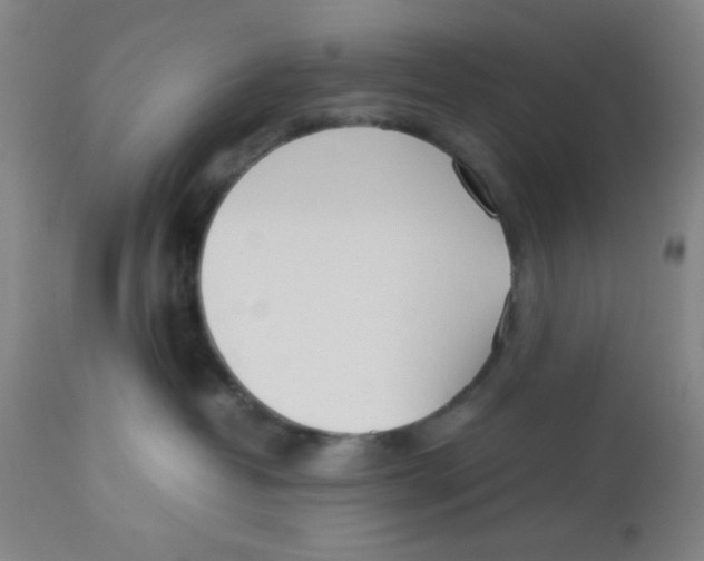 X0000112870382200909181830