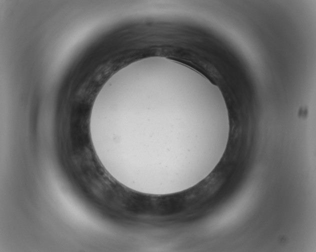 X0000112870383200909181830