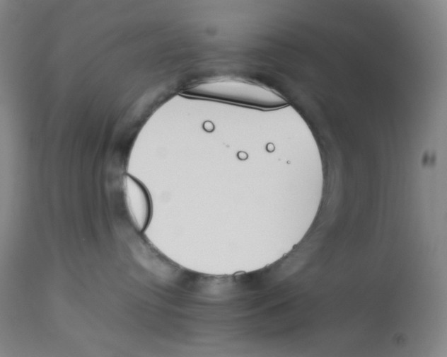 X0000112870384200909181830