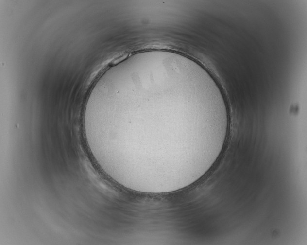 X0000112870386200909181829