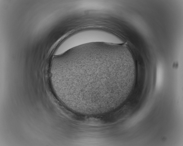 X0000112870387200909181829